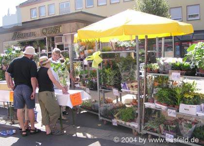 Bild12