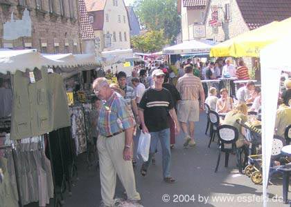 Bild19