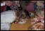 Bild03