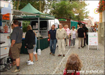 Bild36