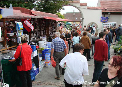 Bild38