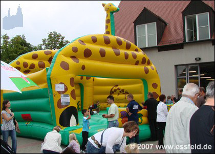 Bild45