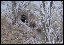 Bild14