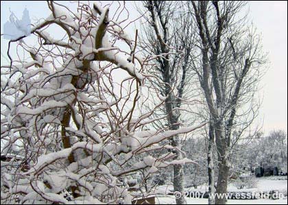 Bild04