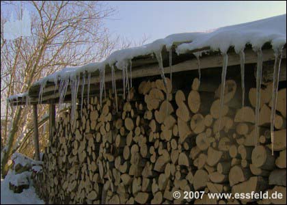 Bild16