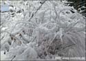 Bild01