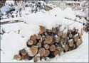 Bild03