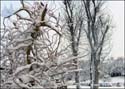 Bild04