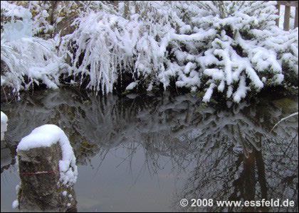 Bild03