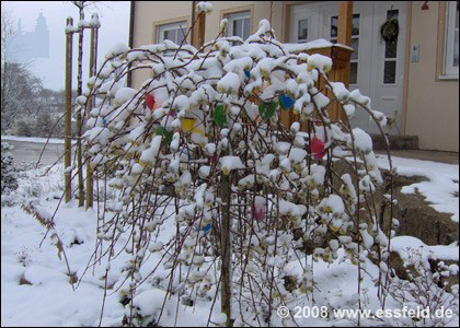Bild07