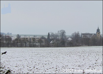Bild11