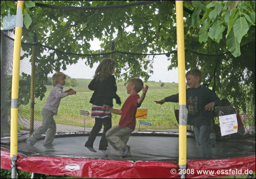 Bild45
