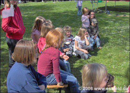 Bild37
