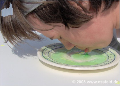 Bild52
