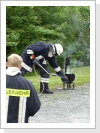 Klicken Sie auf das Bild, um es zu vergrößern