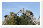 Klicken Sie auf das Bild, um es zu vergrößern