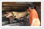 Klicken Sie auf das Bild, um es zu vergrößern