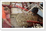 Klicken Sie auf das Bild, um es zu vergrößern